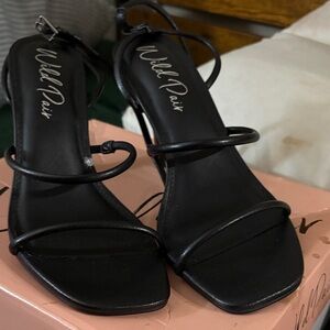 Wild Pair Elegant Black Heels